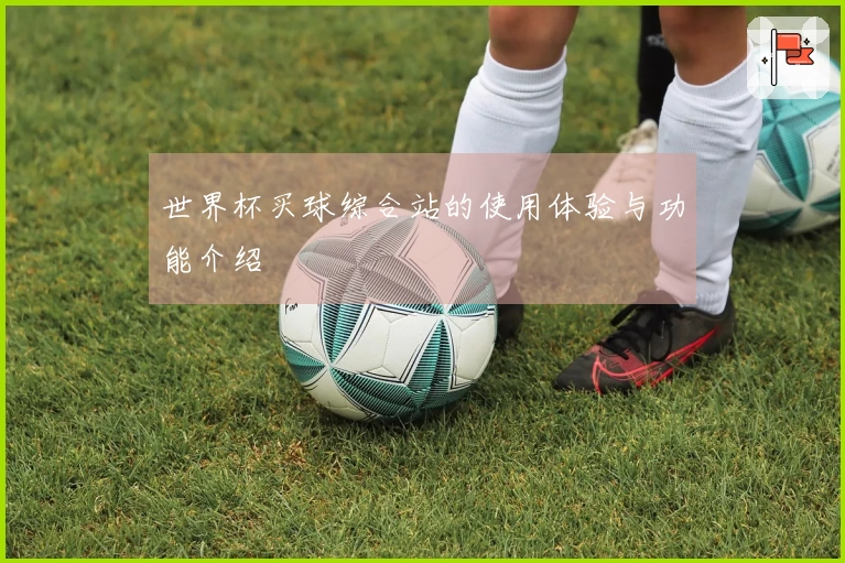 世界杯买球综合站的使用体验与功能介绍