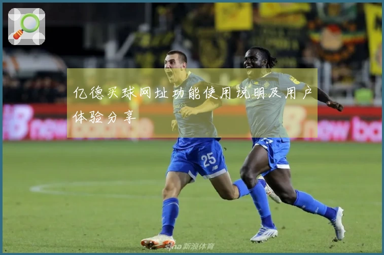 亿德买球网址功能使用说明及用户体验分享