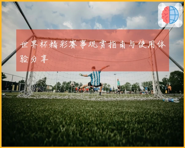 世界杯精彩赛事观赏指南与使用体验分享