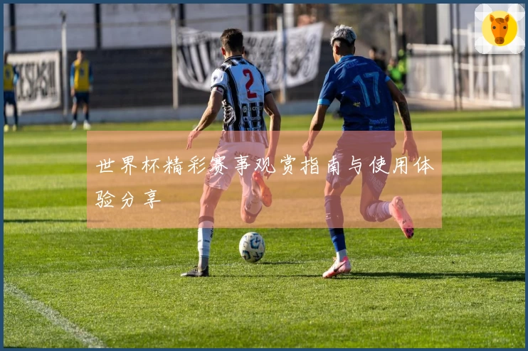 世界杯精彩赛事观赏指南与使用体验分享