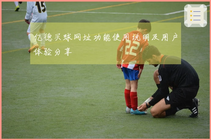 亿德买球网址功能使用说明及用户体验分享