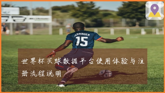 世界杯买球数据平台使用体验与注册流程说明