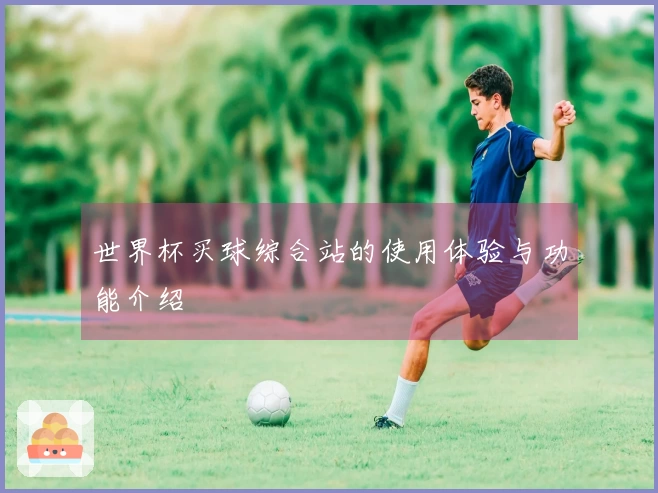 世界杯买球综合站的使用体验与功能介绍