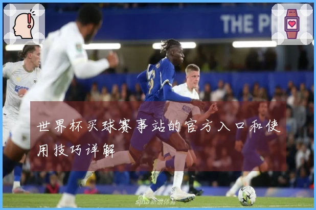 世界杯买球赛事站的官方入口和使用技巧详解