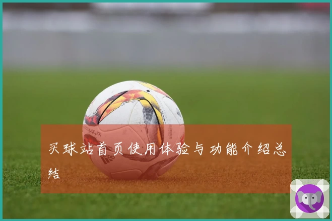 买球站首页使用体验与功能介绍总结