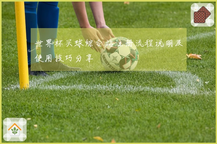 世界杯买球综合站注册流程说明及使用技巧分享
